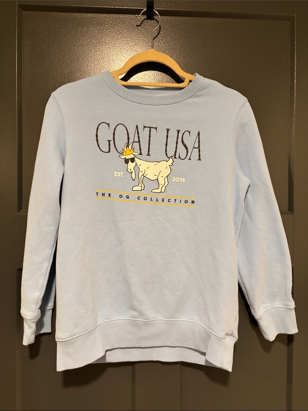 GOAT USA Kids Sweatshirt
